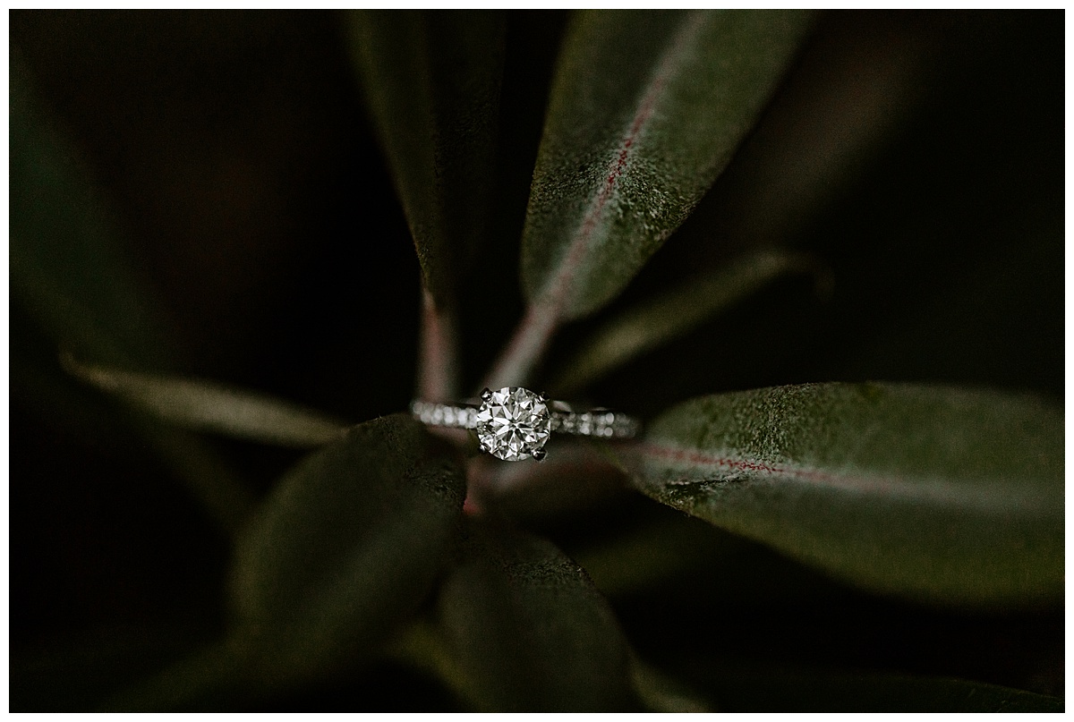 Pocono Mountains Engagement Session